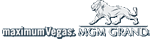 English to Chinese Translation Software