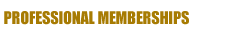 American Professional Association